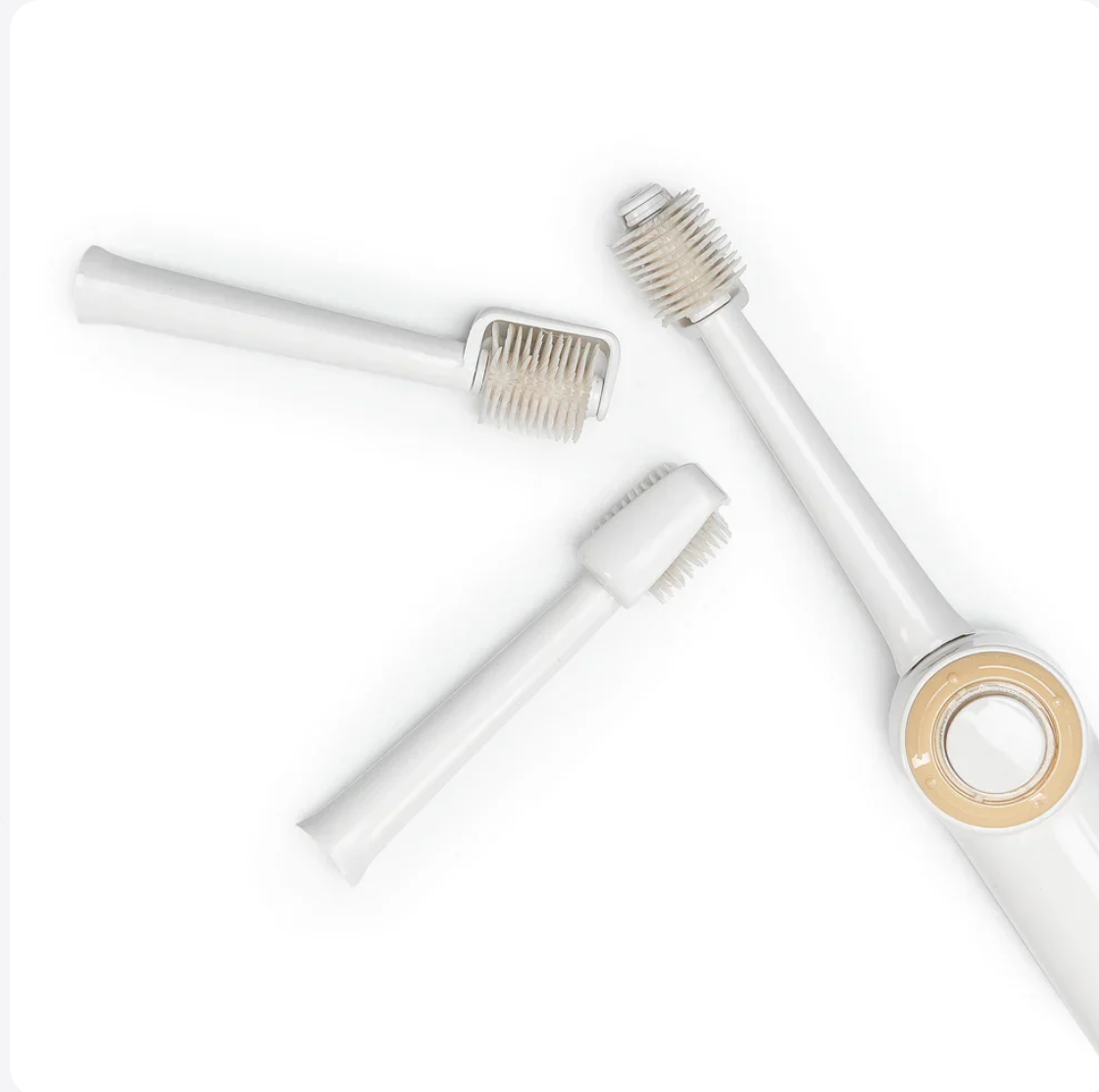 Replacement Brush Heads — 3 Pack Precio:  $19.00